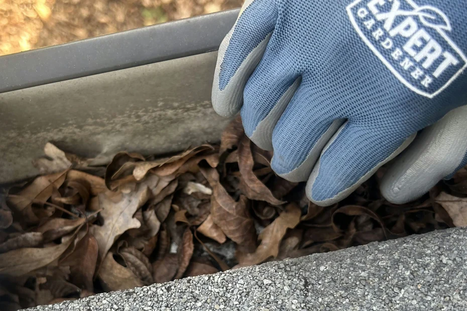 Gutter Cleaning Summerville