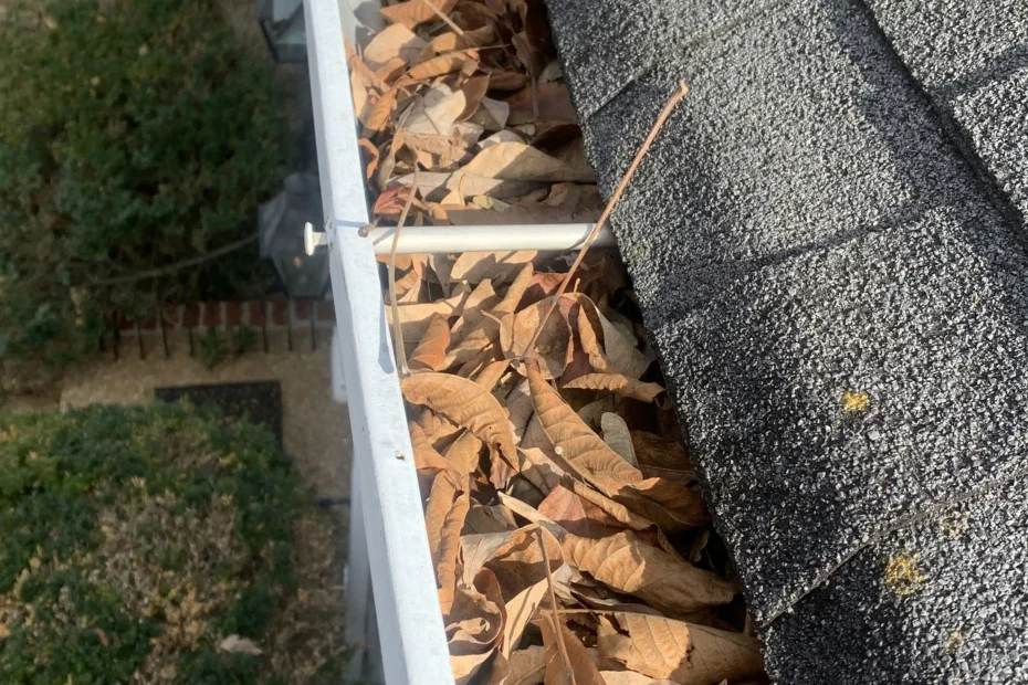 Gutter Cleaning Summerville