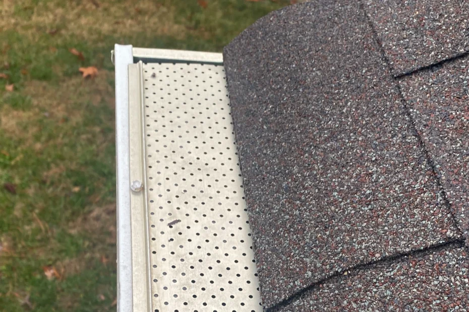 Gutter Cleaning Summerville