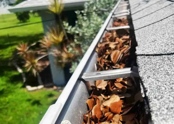 Gutter Cleaning Summerville home page